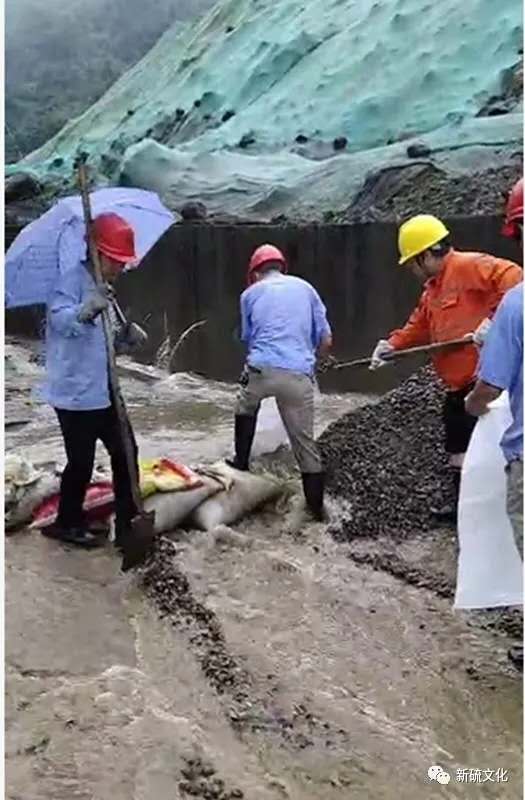 豪利777(OLE777)官方网站